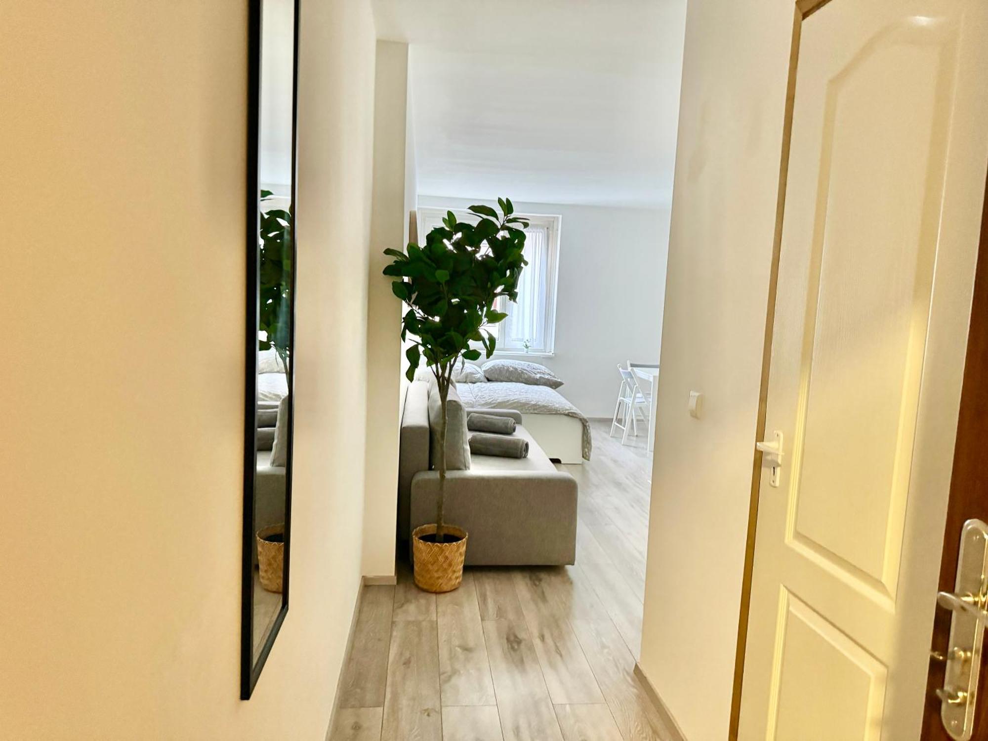 Apartment Stylish Schonbrunn With Free Parking