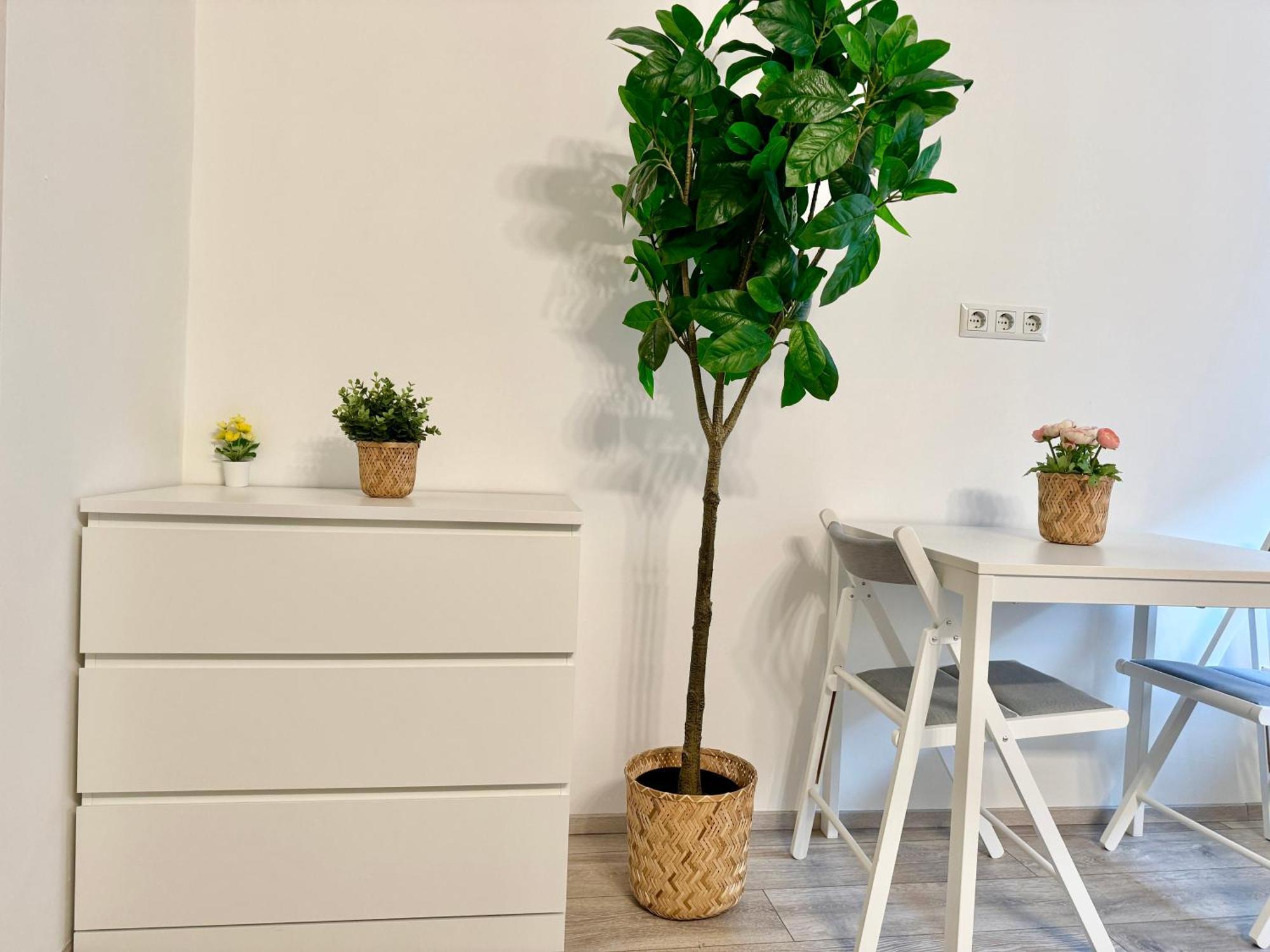 Stylish Schonbrunn With Free Parking Apartament Viena
